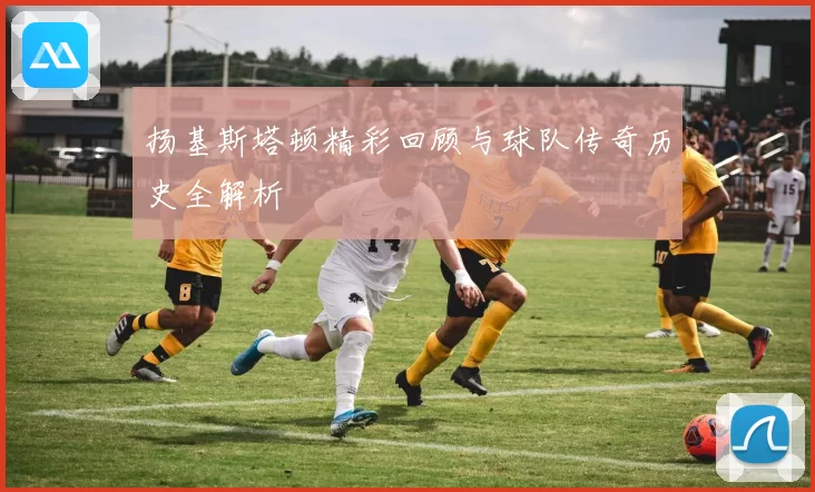 扬基斯塔顿精彩回顾与球队传奇历史全解析