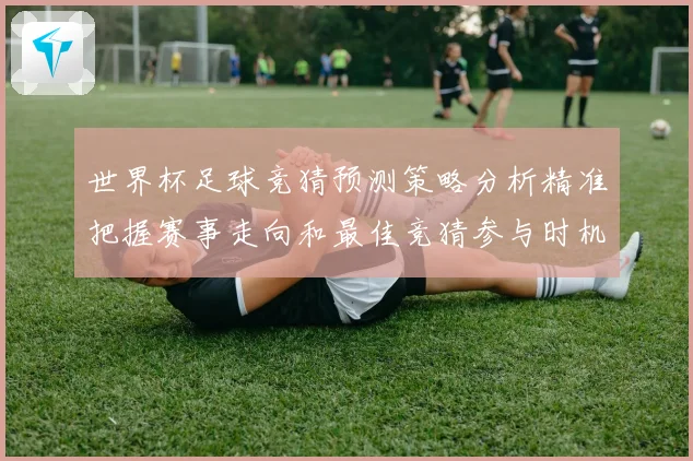 世界杯足球竞猜预测策略分析精准把握赛事走向和最佳竞猜参与时机数据研判