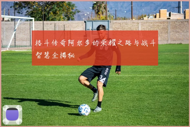 格斗传奇阿尔多的荣耀之路与战斗智慧全揭秘