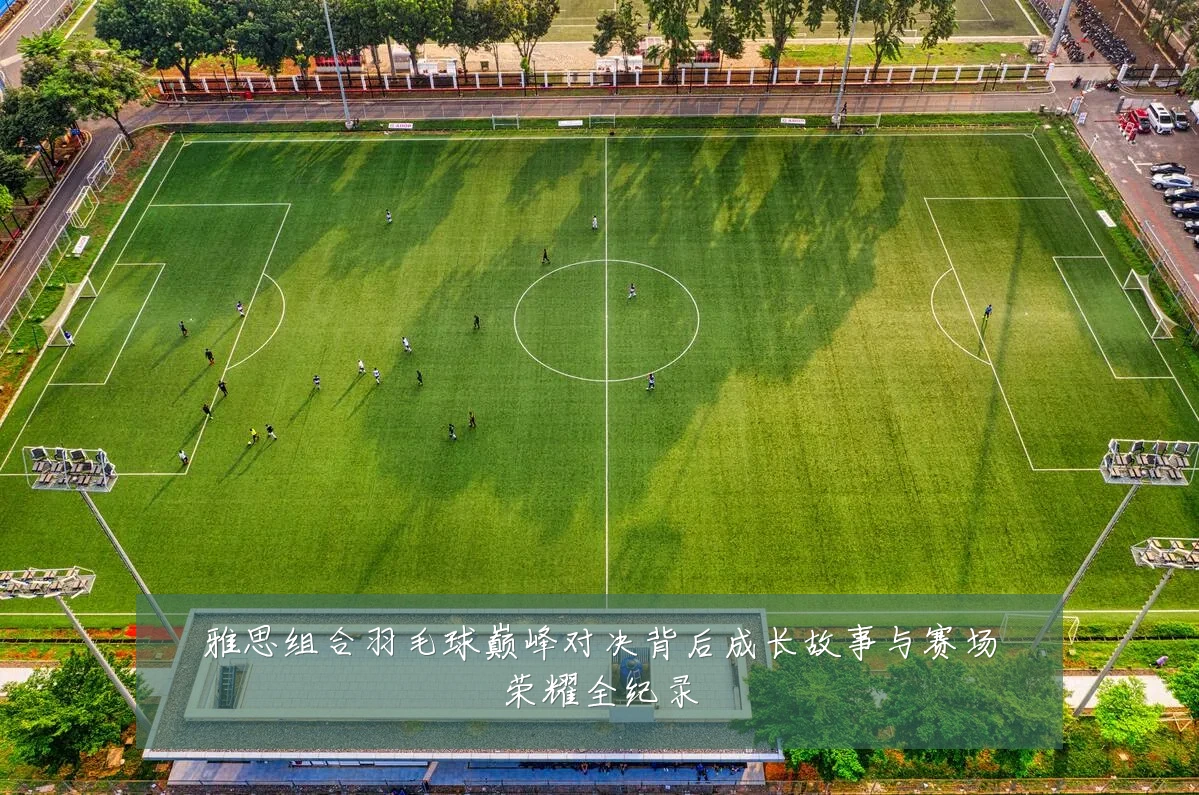 雅思组合羽毛球巅峰对决背后成长故事与赛场荣耀全纪录