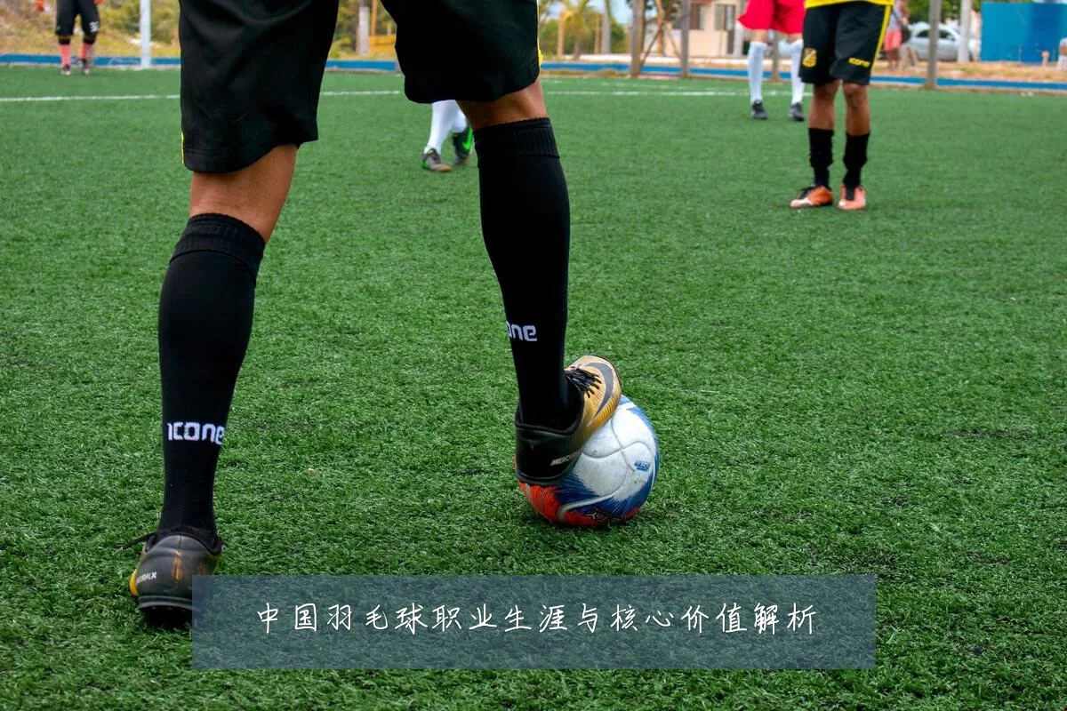 中国羽毛球职业生涯与核心价值解析